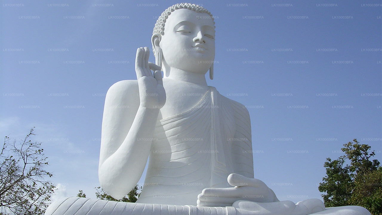 Buddhist Pilgrimage Tour (7 Days)