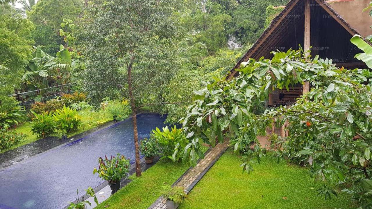 il Frangipane, Sigiriya