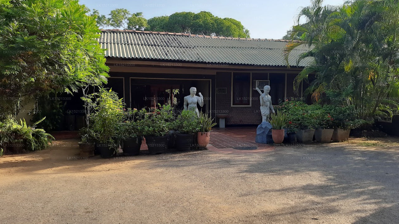 The Village, Polonnaruwa