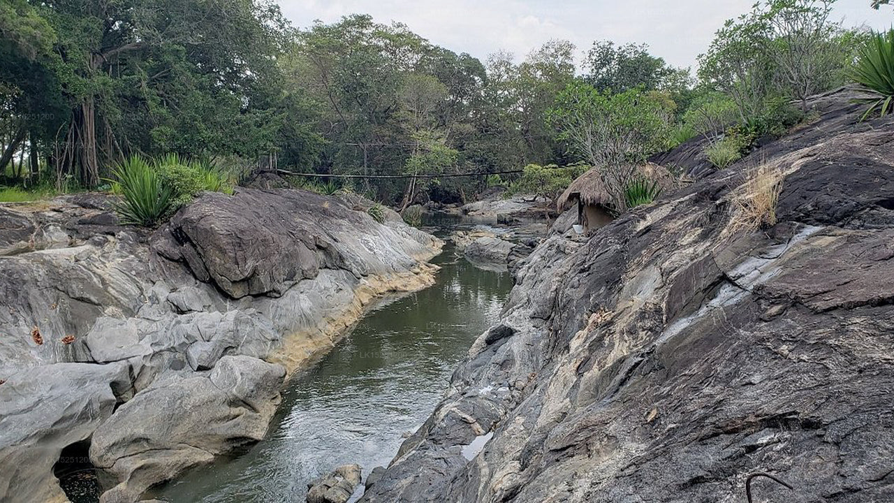 Galapita Eco Lodge, Yala