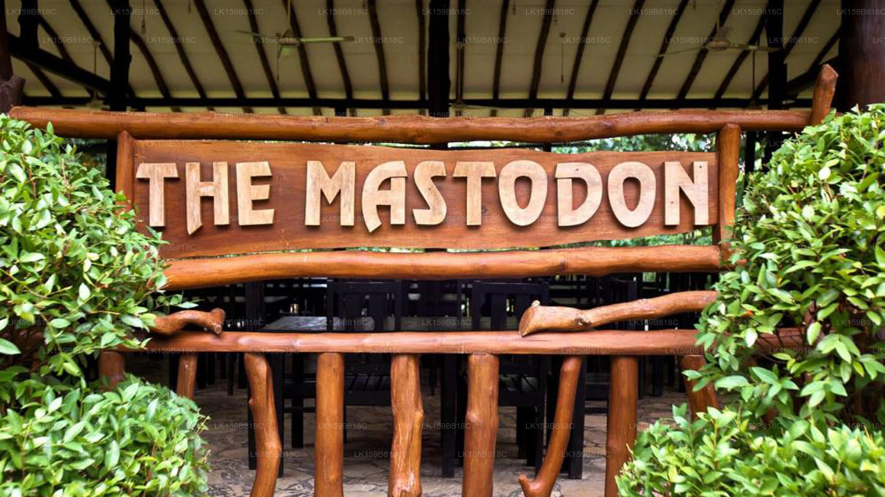 The Mastodon Valley Safari Resort