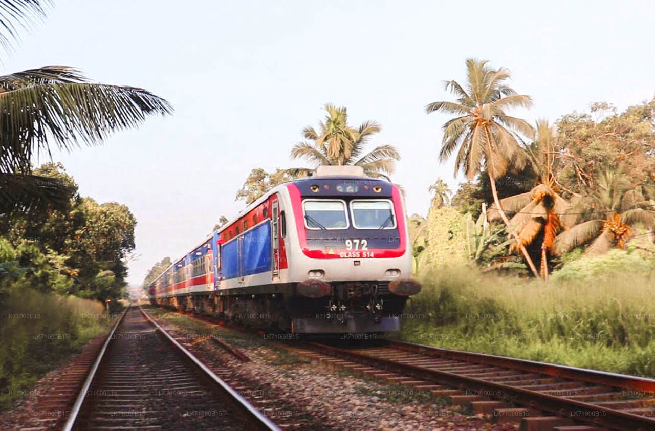 Badulla to Colombo train ride on (Train No: 1002 "Denuwara Menike")