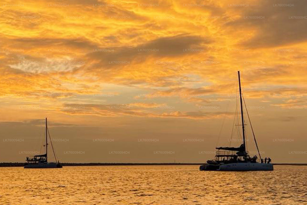 3-hour Sunset Cruise from Mirissa