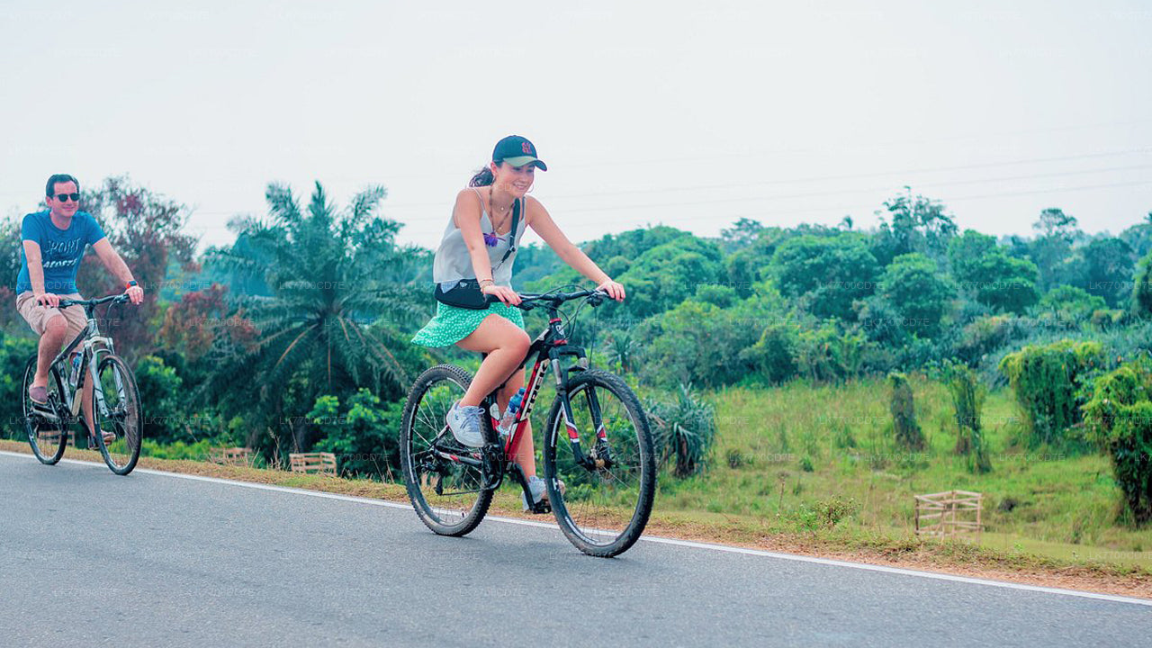 100 Km Sporting Cycling Tour From Galle