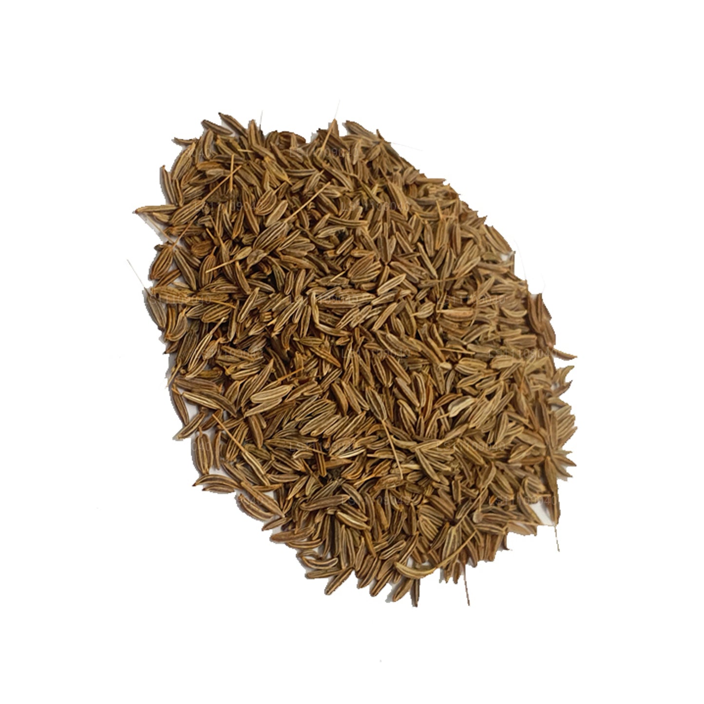 Lakpura Fennel Seeds Whole