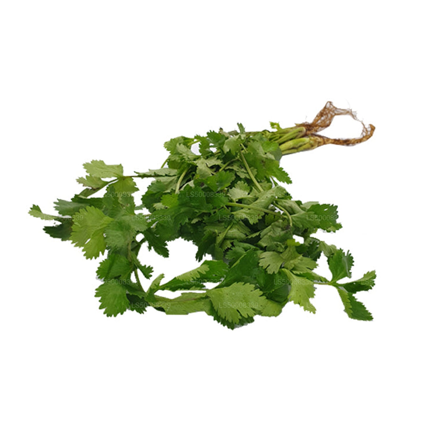 Coriander Leaves (කොත්තමල්ලි කොළ) (100g)