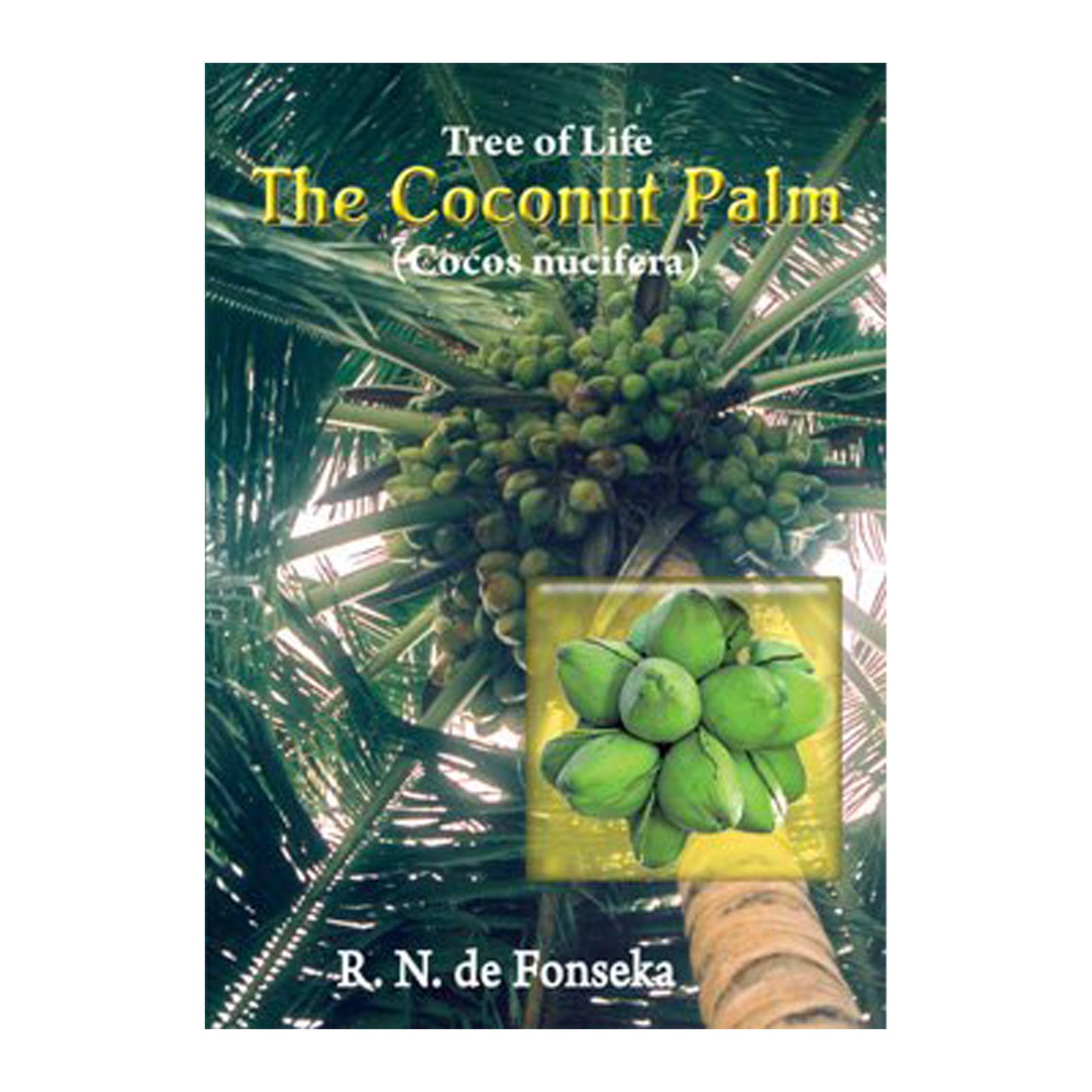 The Coconut Palm