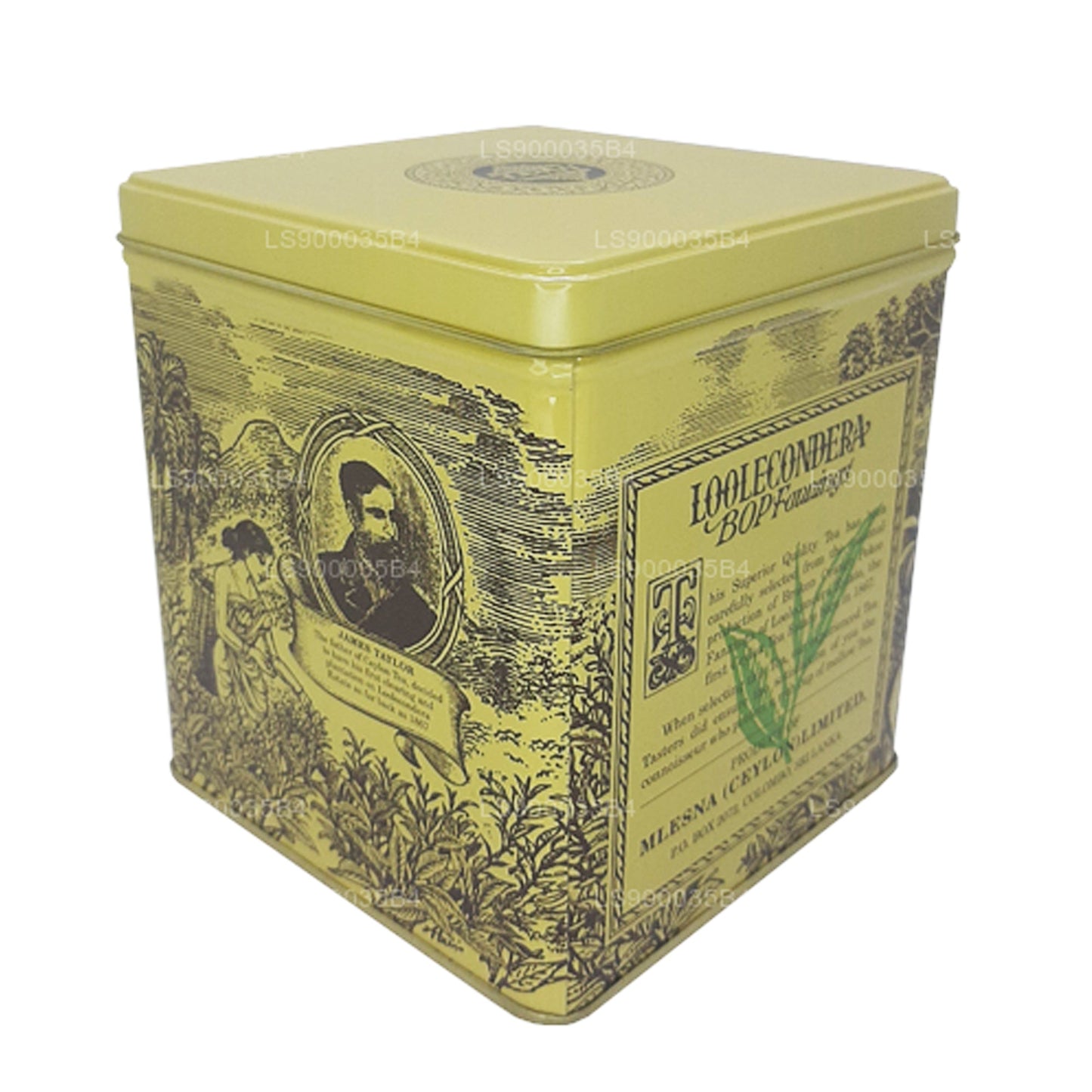 Mlesna Loolecondera BOP Fannings Tea Caddy