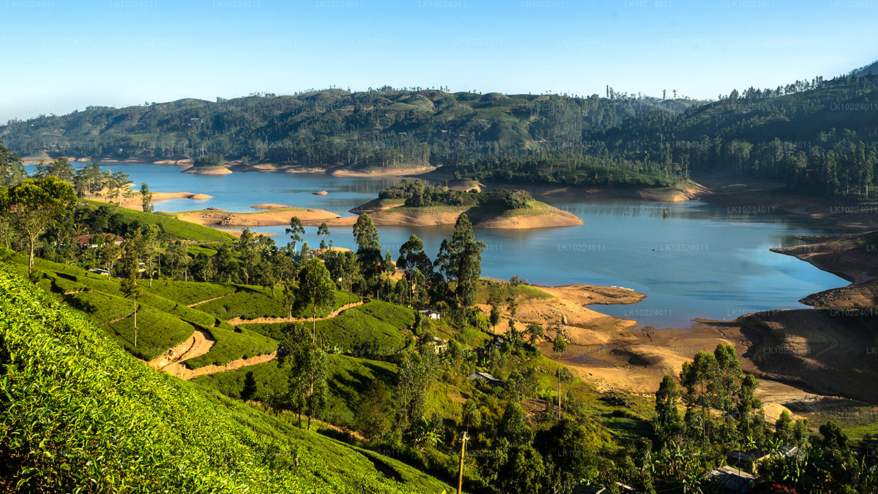 Nuwara Eliya from Negombo (2 Days)