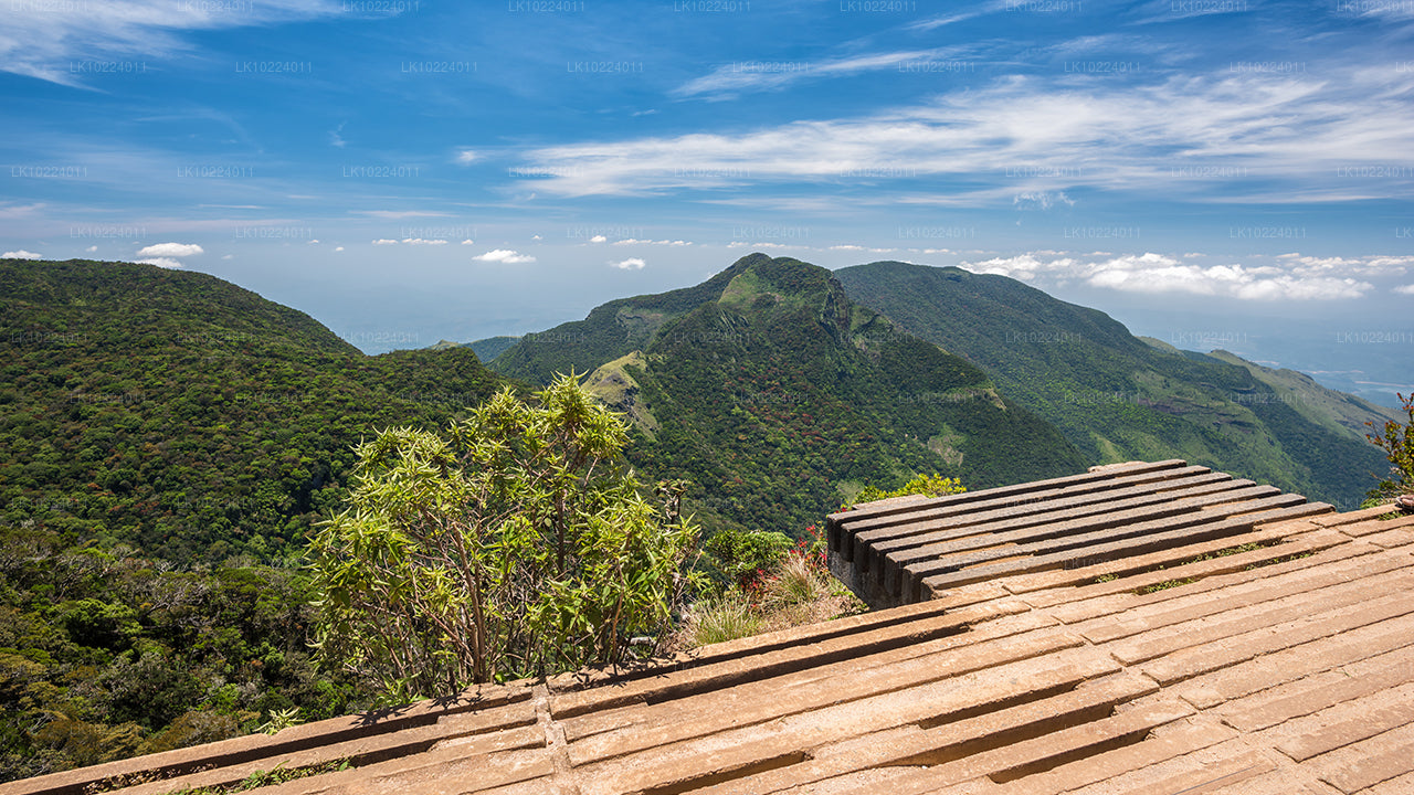 Nuwara Eliya from Negombo (2 Days)