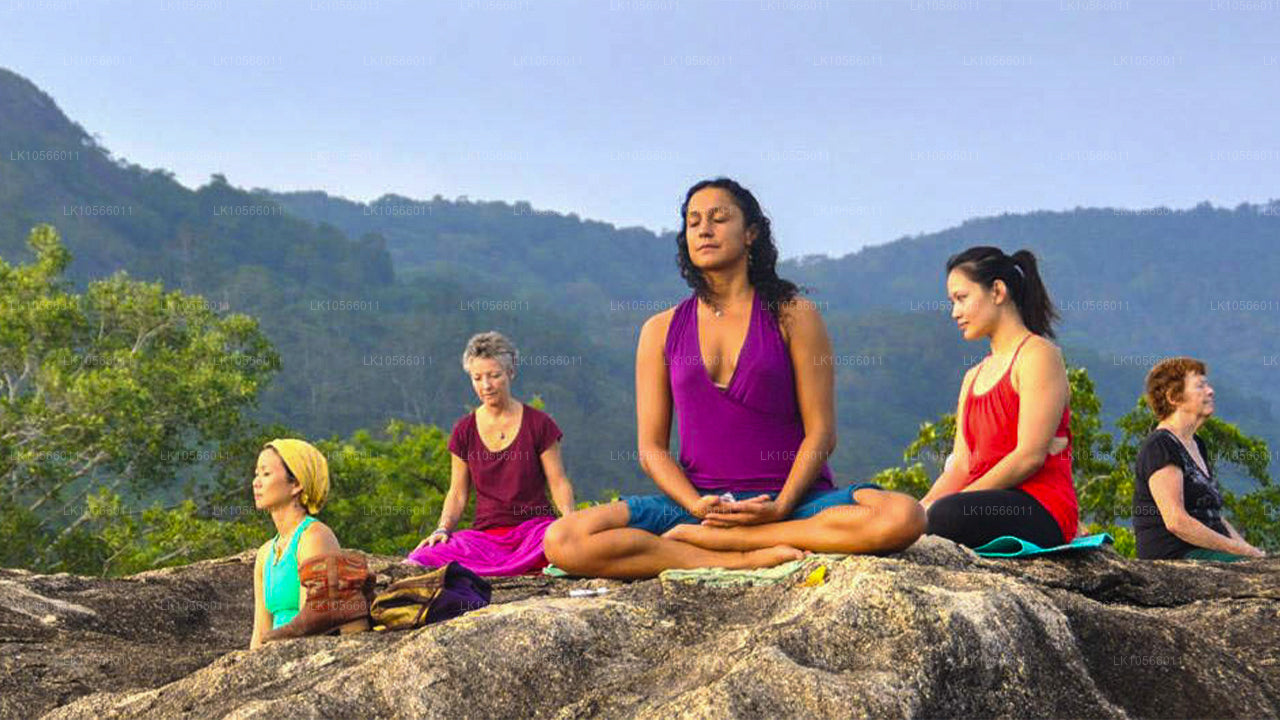 Meditation and Yoga Tour (5 Days)