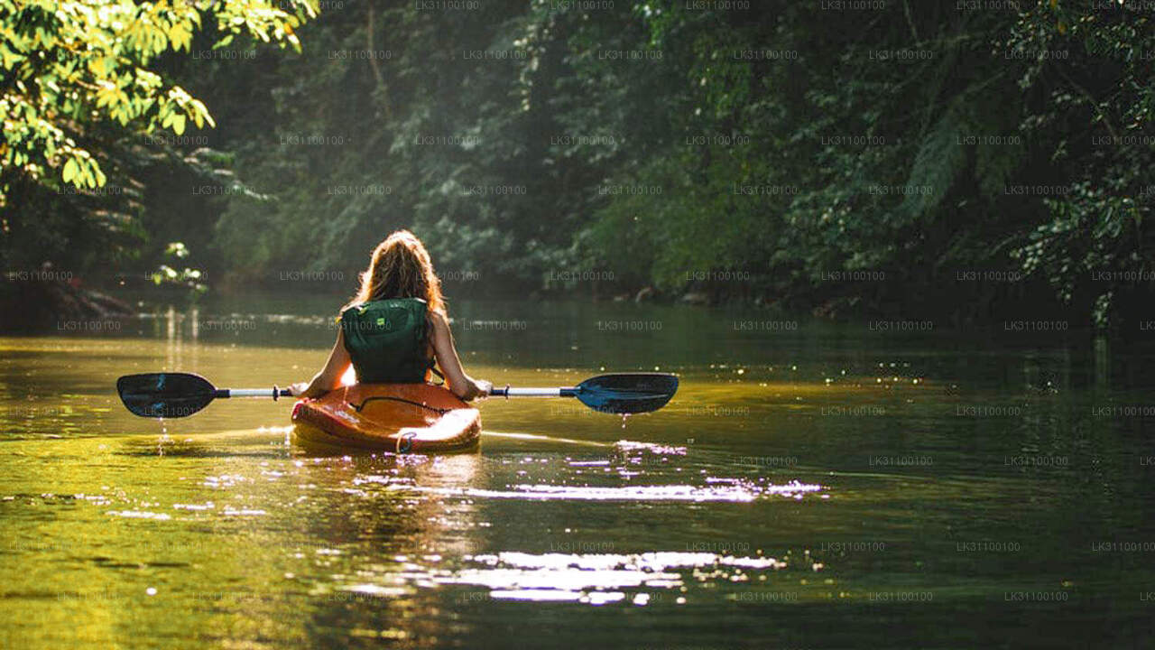 Kayaking from Kitulgala