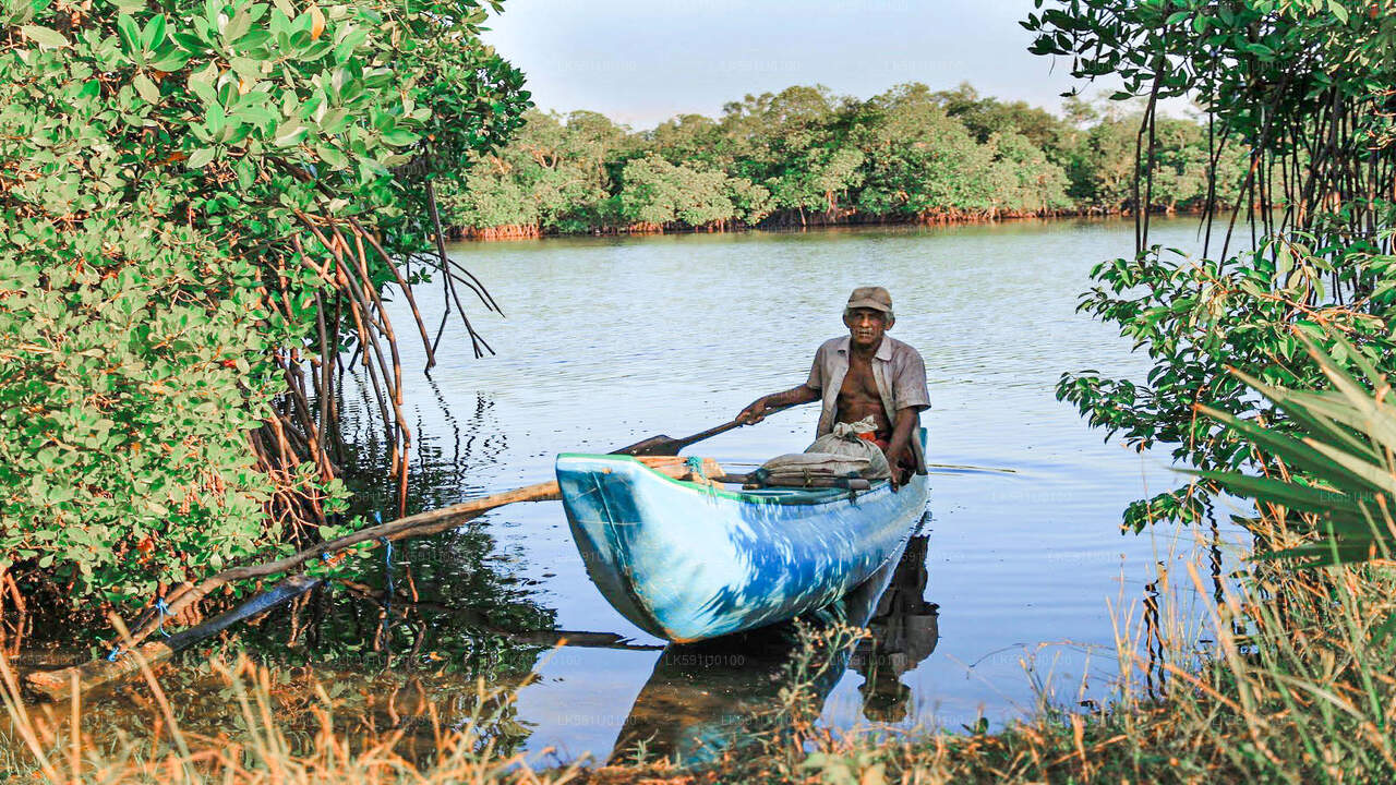 Lake Fishing from Polonnaruwa