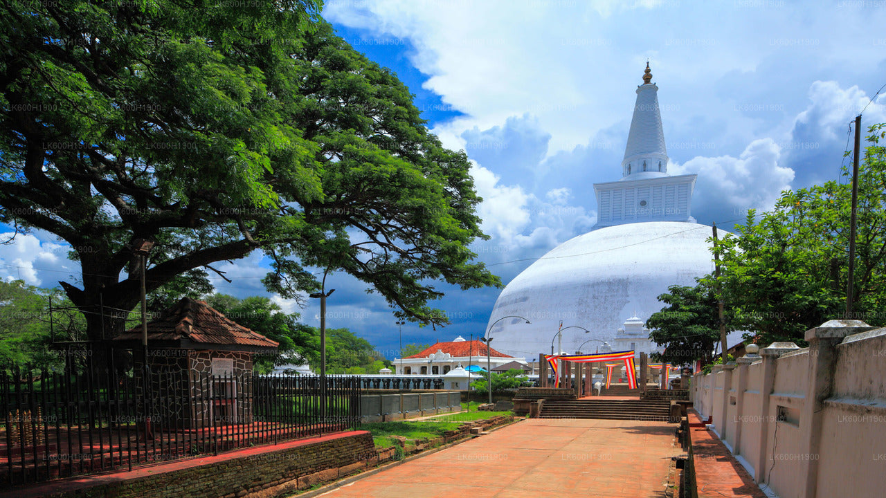 Sacred City of Anuradhapura from Colombo