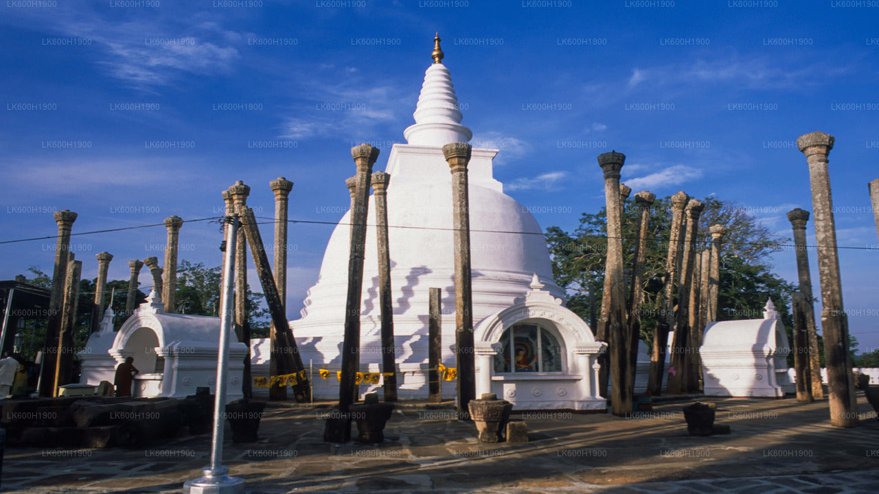 Sacred City of Anuradhapura from Colombo