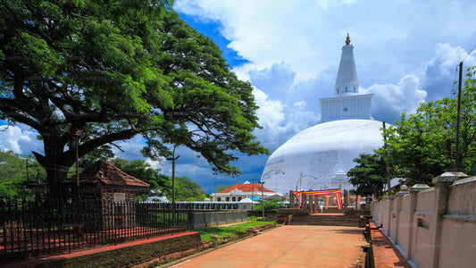 Sacred City of Anuradhapura from Dambulla