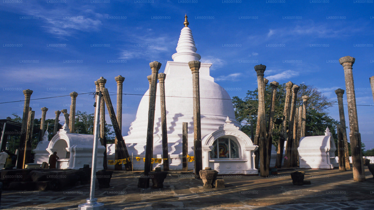 Anuradhapura Buddhist Icons Tour from Dambulla