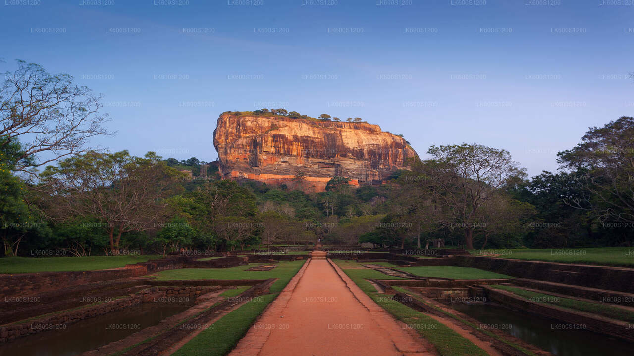 Sigiriya Rock and Wild Elephant Safari from Habarana