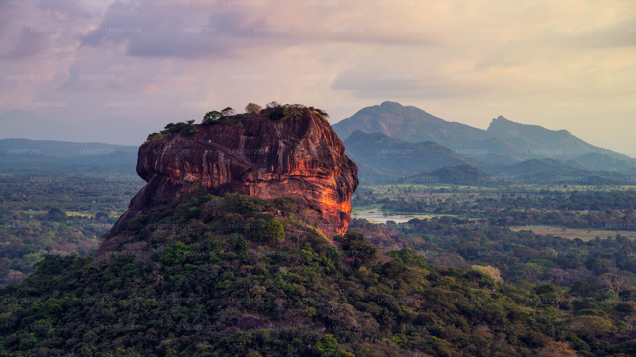 Sigiriya Rock and Wild Elephant Safari from Habarana