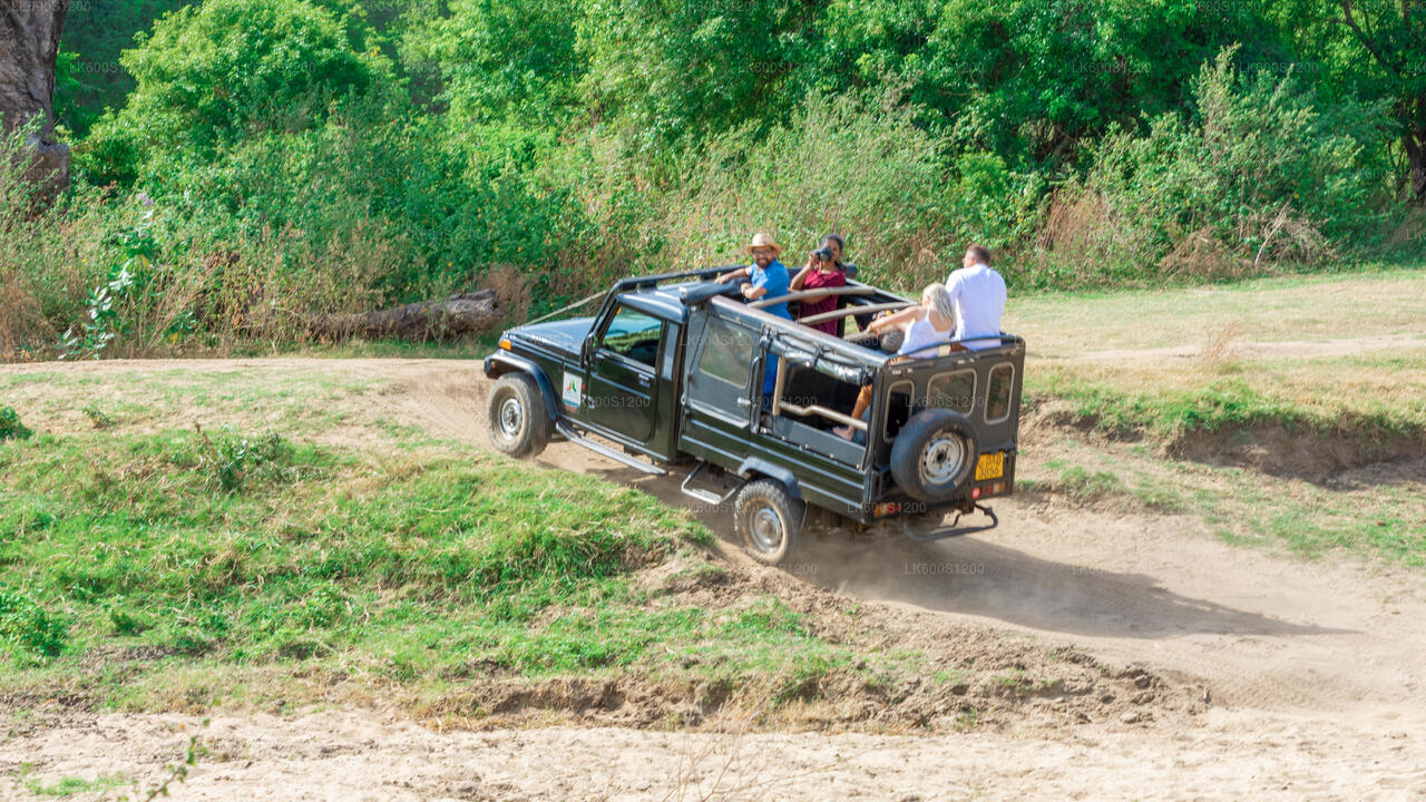 Sigiriya Rock and Wild Elephant Safari from Habarana