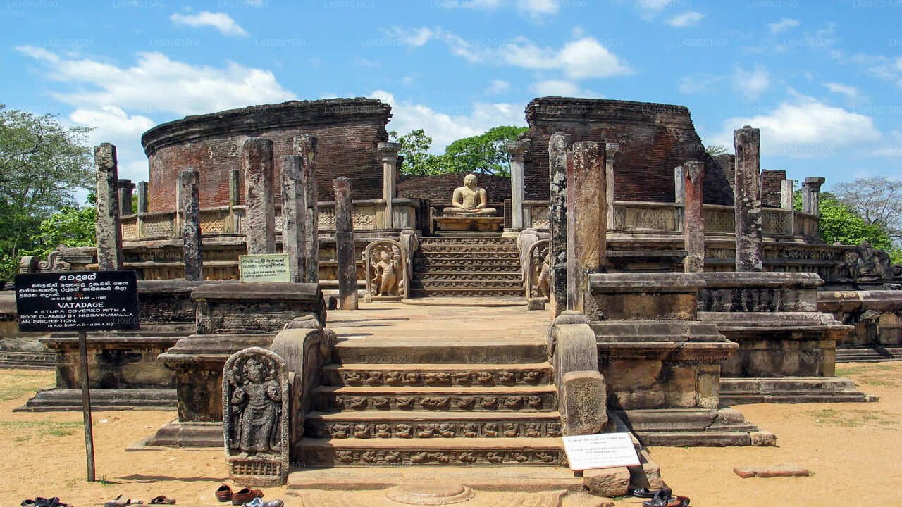 Polonnaruwa Ancient Kingdom and Wild Elephant Safari from Habarana