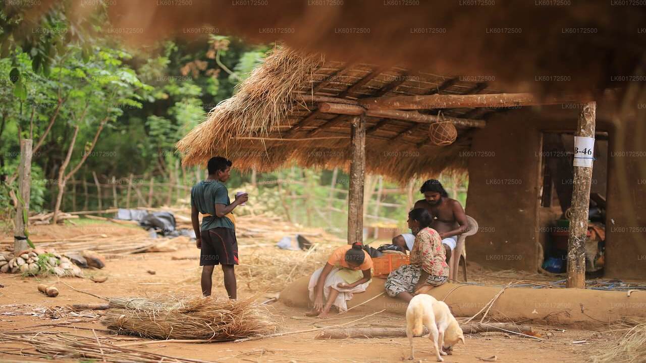 Waterfall Hike and Aboriginal Village Tour from Kandy