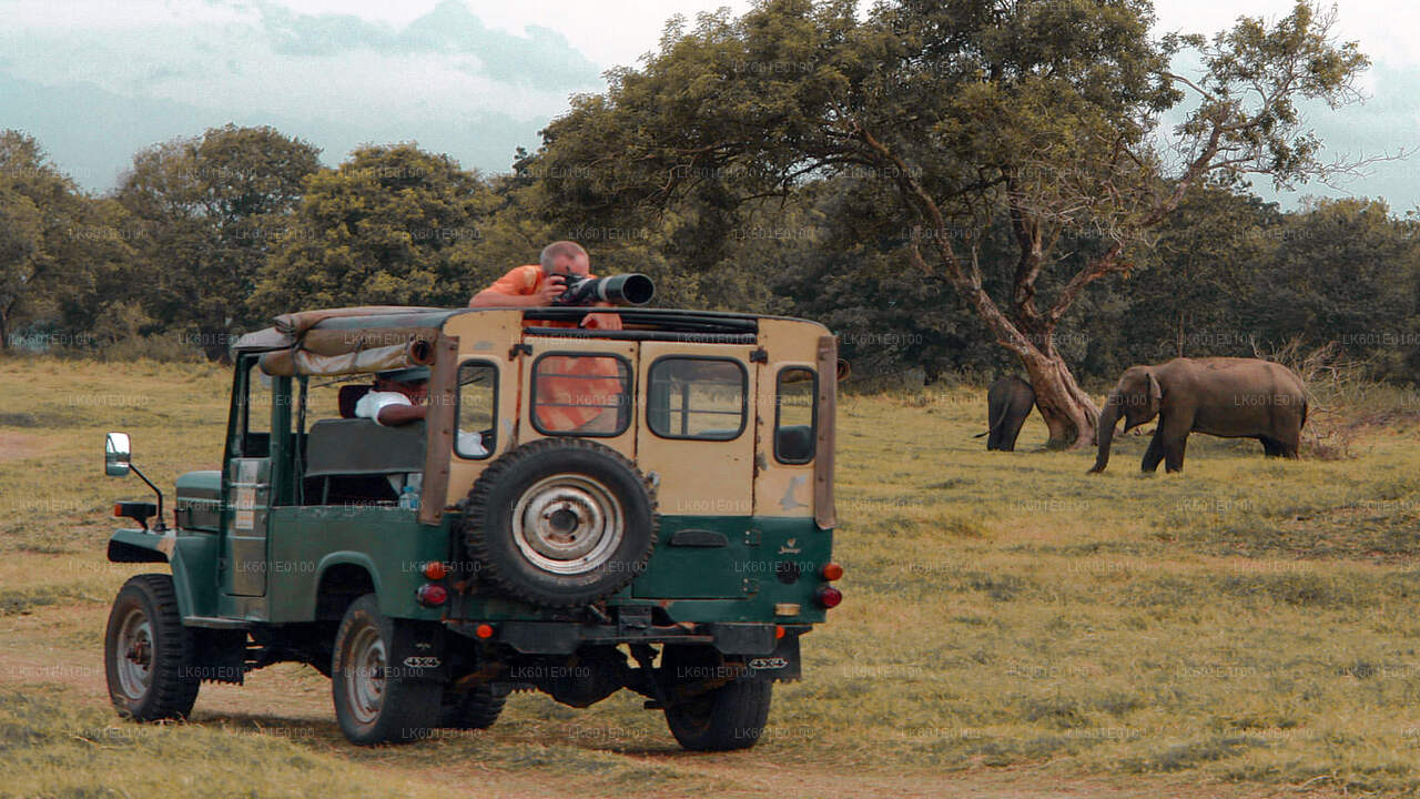 Udawalawe National Park Safari from Koggala