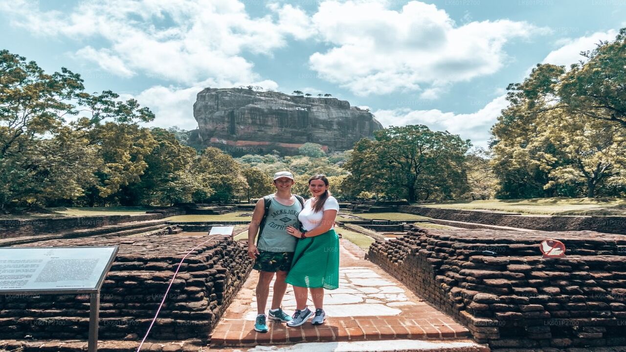 Sigiriya Rock and Wild Elephant Safari from Negombo