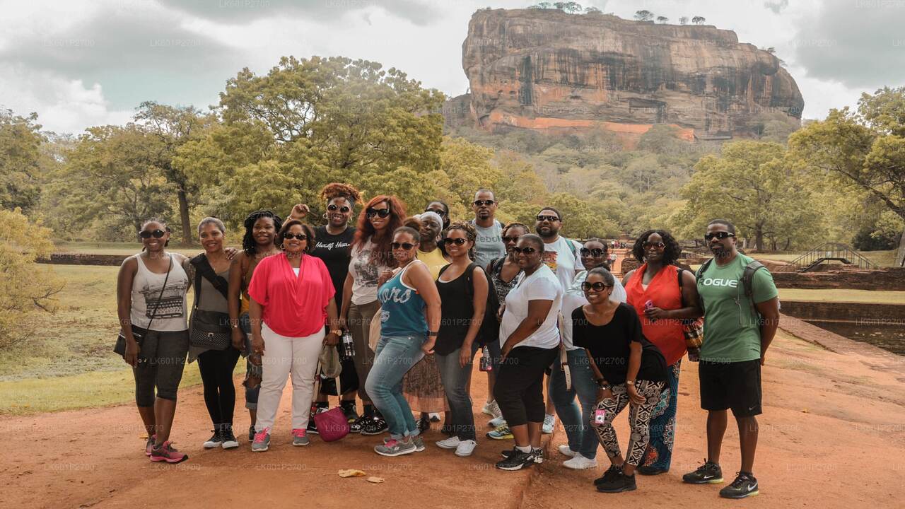 Sigiriya Rock and Wild Elephant Safari from Negombo