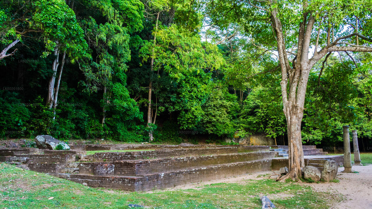 Yapahuwa Ancient Kingdom from Sigiriya