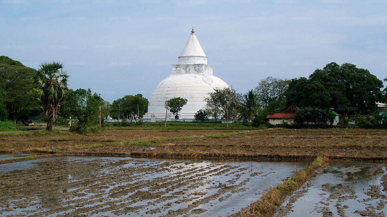 Ancient Temple Run Tour from Mattala