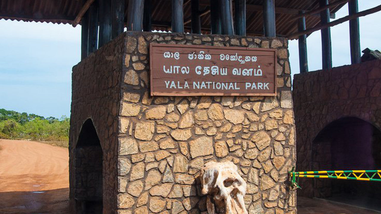 Yala National Park Entrance Ticket