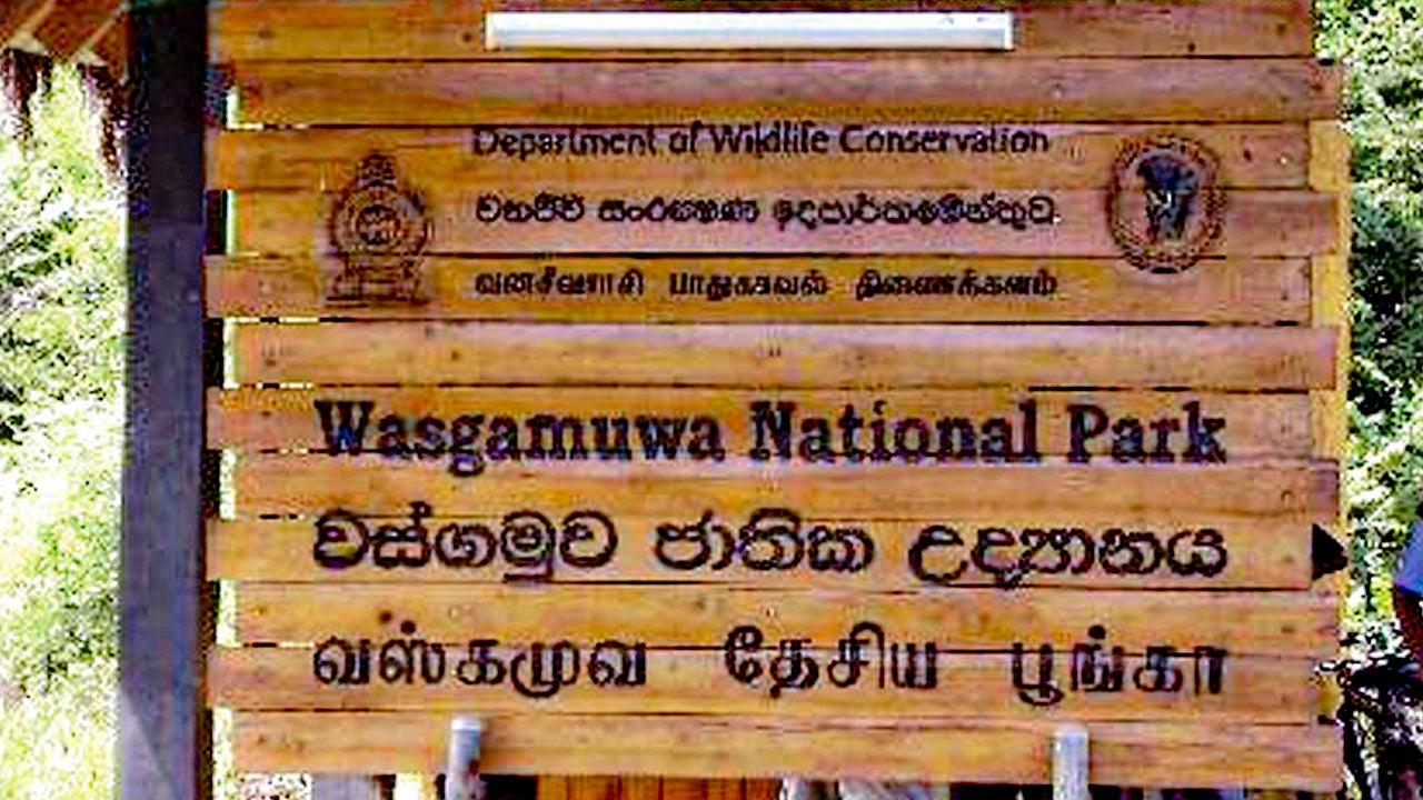 Wasgamuwa National Park Entrance Tickets