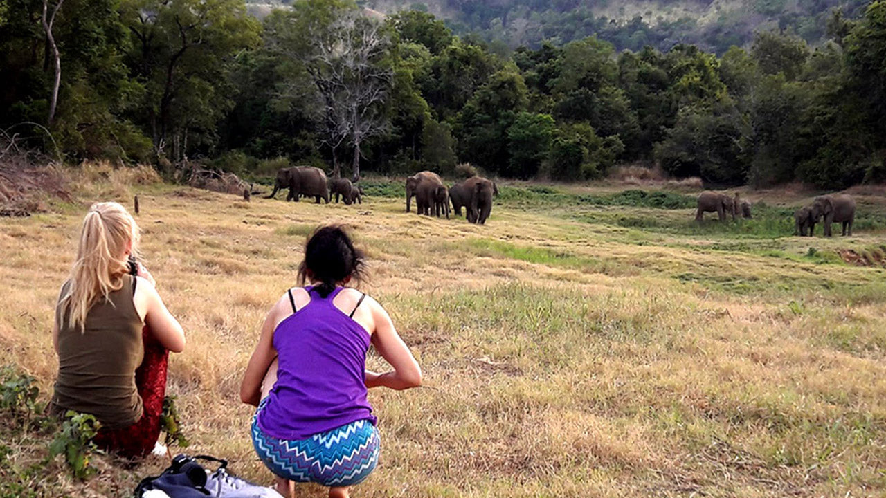 Wasgamuwa National Park Entrance Tickets