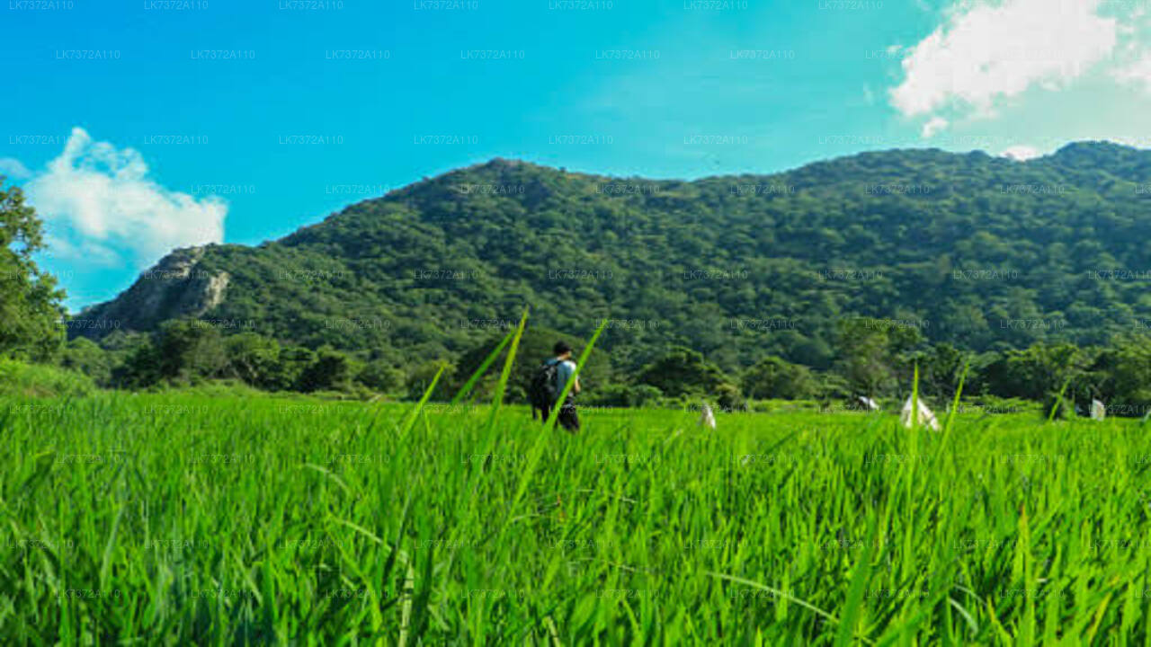 Camping in Kurunegala