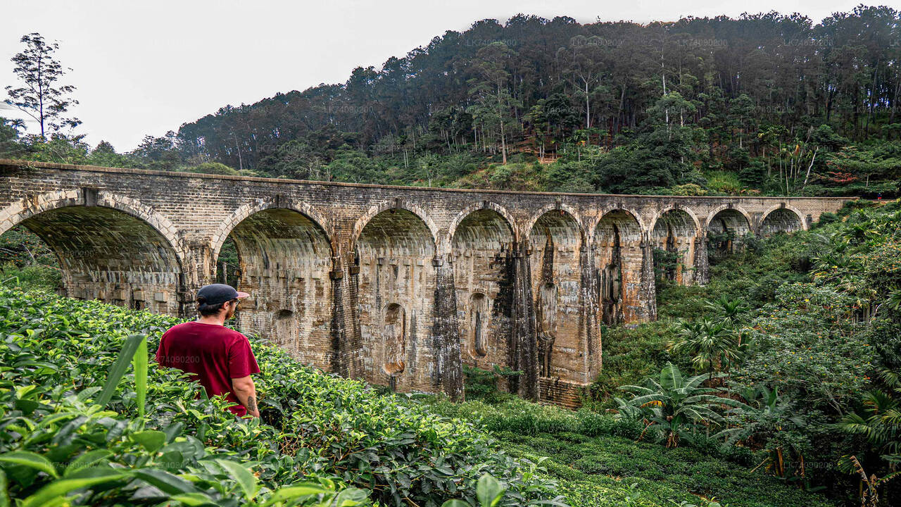 Hike to Little Adam's Peak and Nine Arches Bridge from Ella