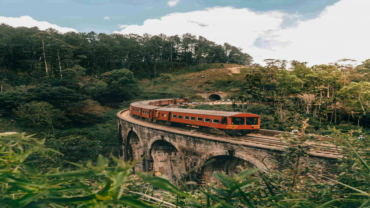 Hike to Little Adam's Peak and Nine Arches Bridge from Ella