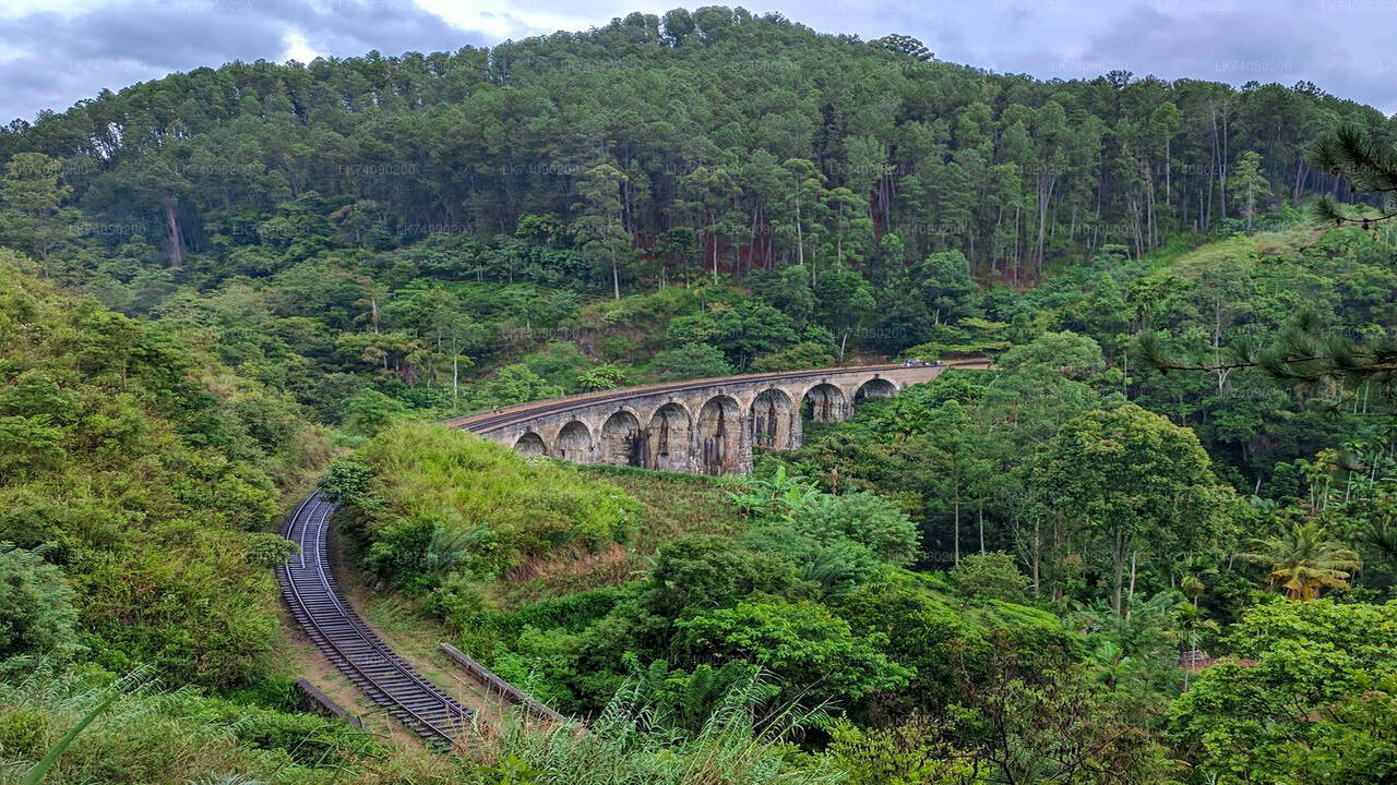 Hike to Little Adam's Peak and Nine Arches Bridge from Ella