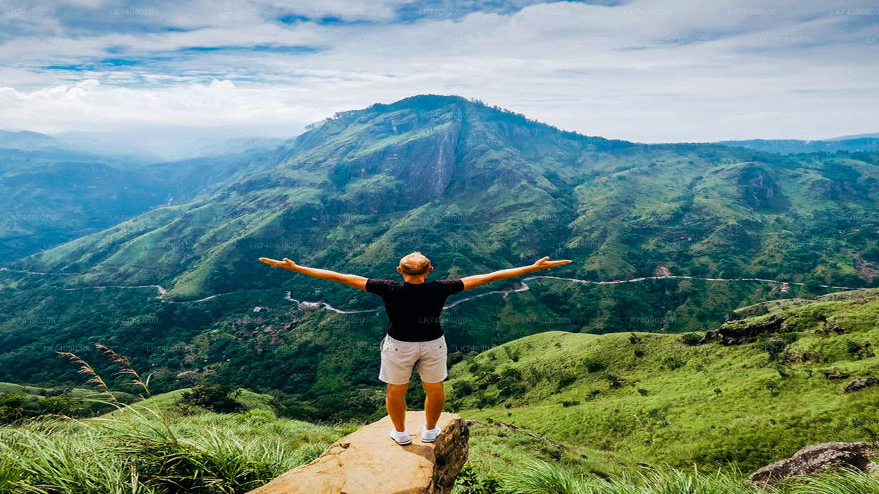 Hike to Little Adam's Peak and Nine Arches Bridge from Ella