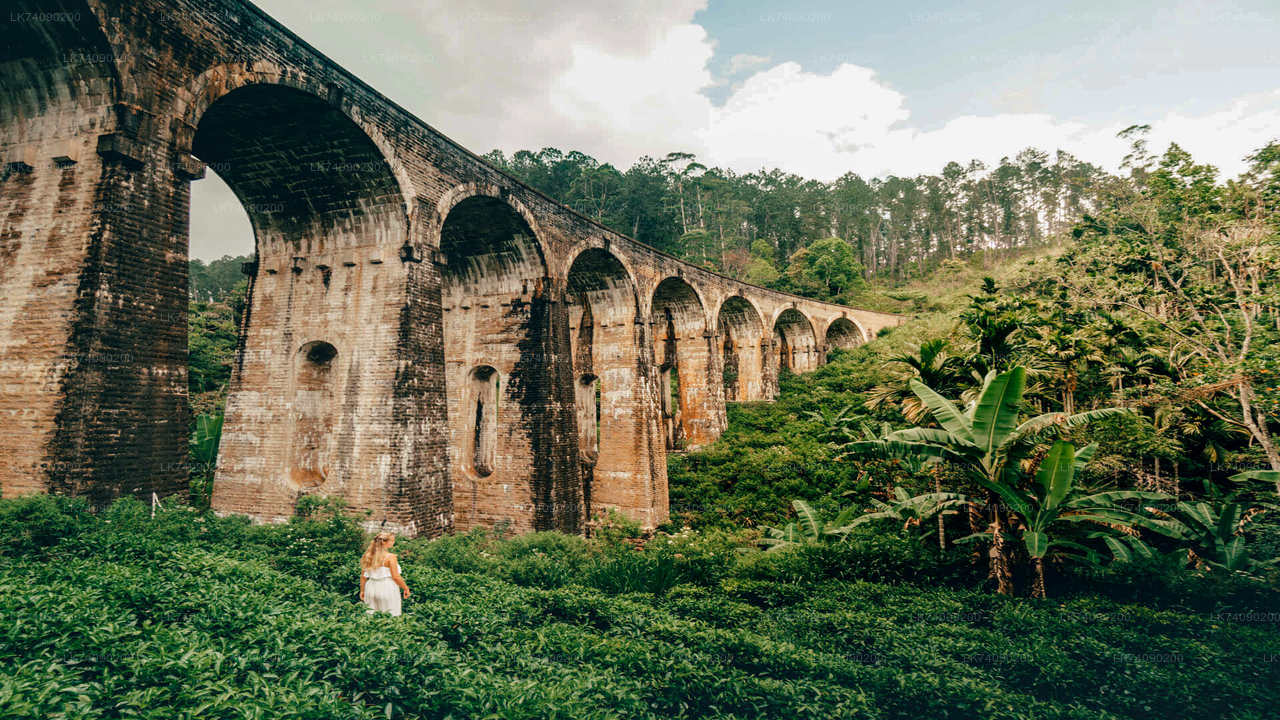 Hike to Little Adam's Peak and Nine Arches Bridge from Ella