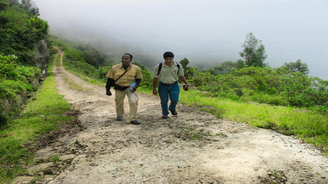 Devil's Staircase Hike from Ohiya