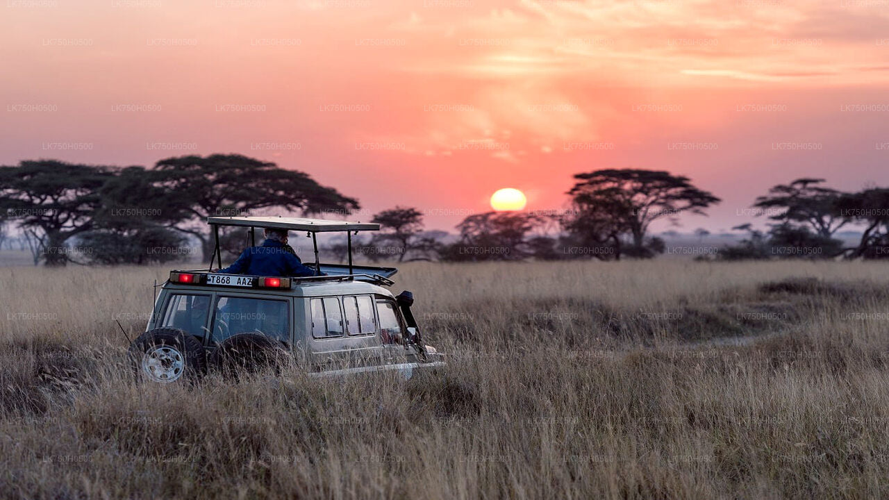 Birdwatching Safari in Udawalawe National Park from Colombo