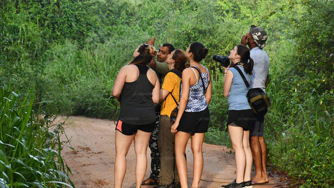 Bundala National Park Safari from Tissamaharama