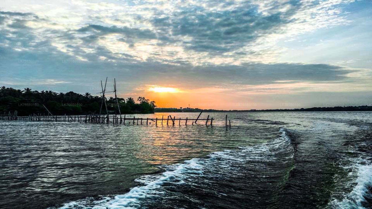 Bolgoda Lake Boat Safari from Colombo