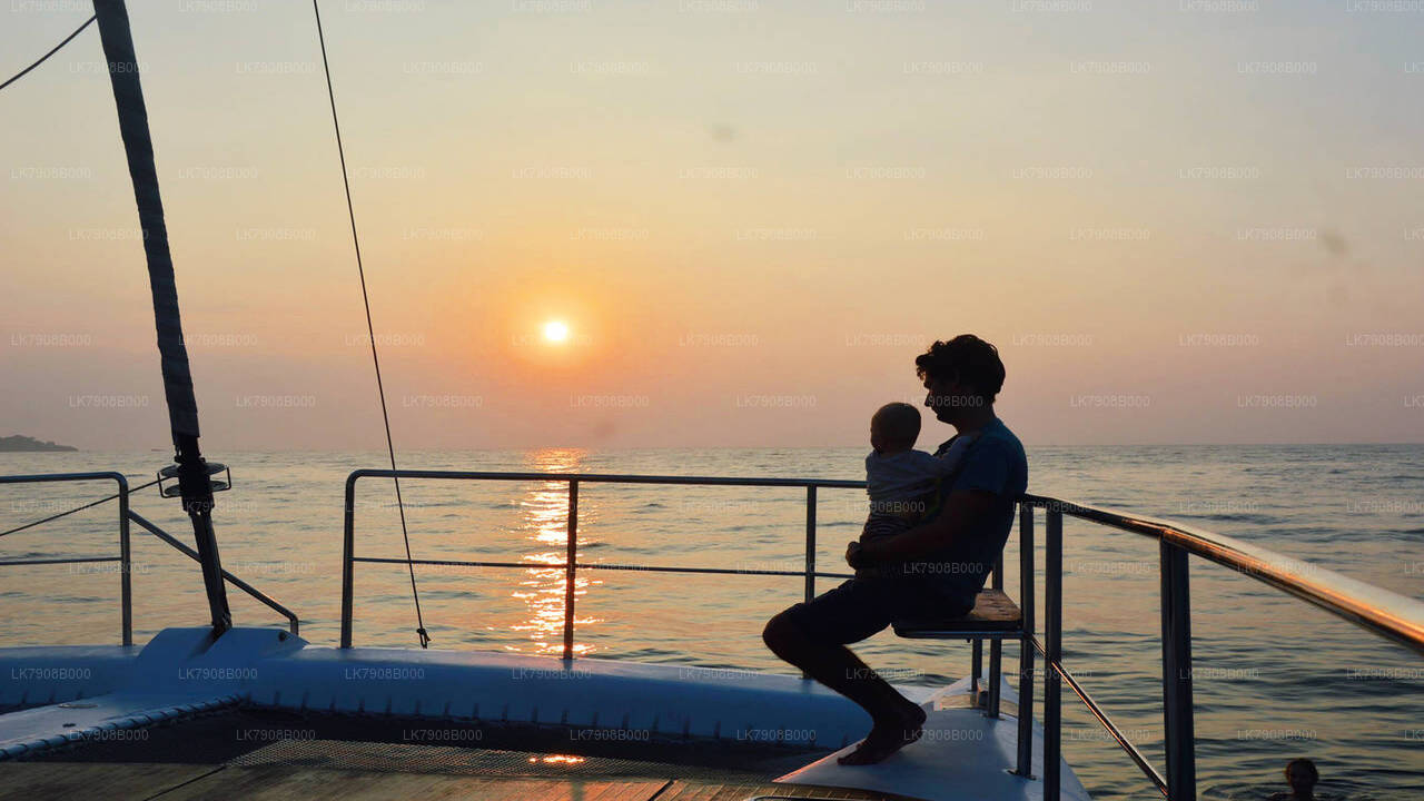 Whale Watching Sunset Cruise in Mirissa