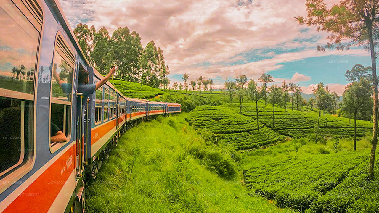 Kandy to Ella train ride on (Train No: 1015 "Udarata Menike")