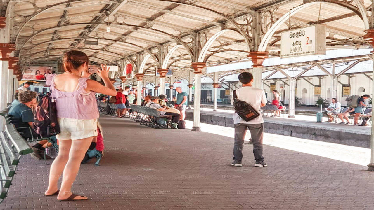 Nanu Oya to Ella train ride on (Train No: 1005 "Podi Menike")