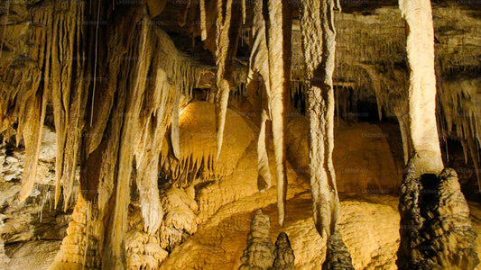 Explore Pannila Cave from Mount Lavinia