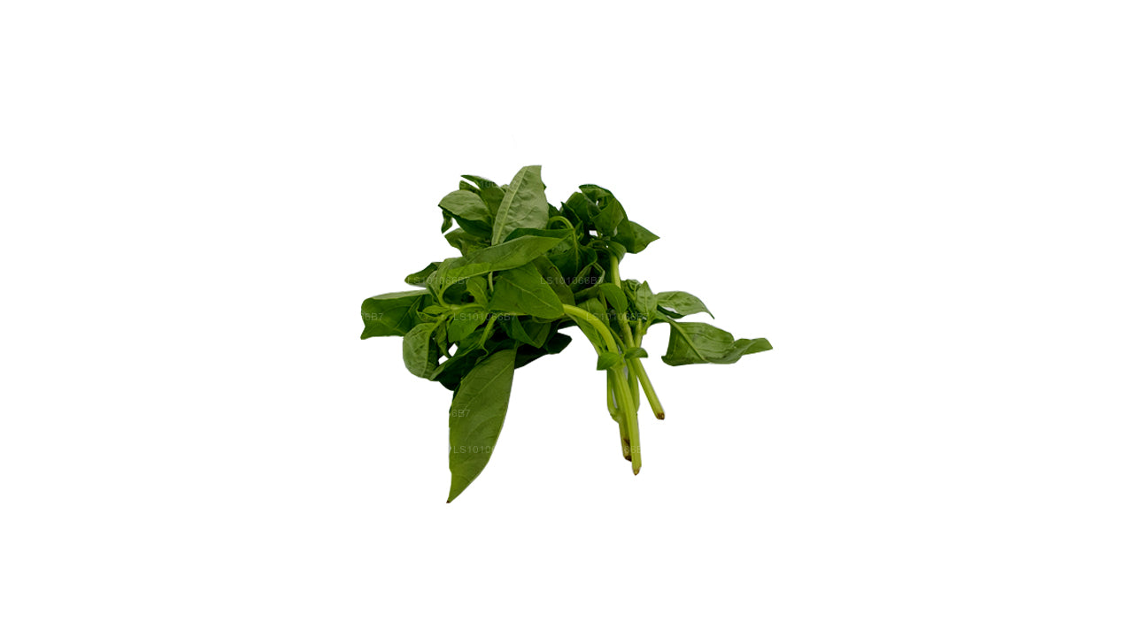 Lakpura Fresh Basil Leaves