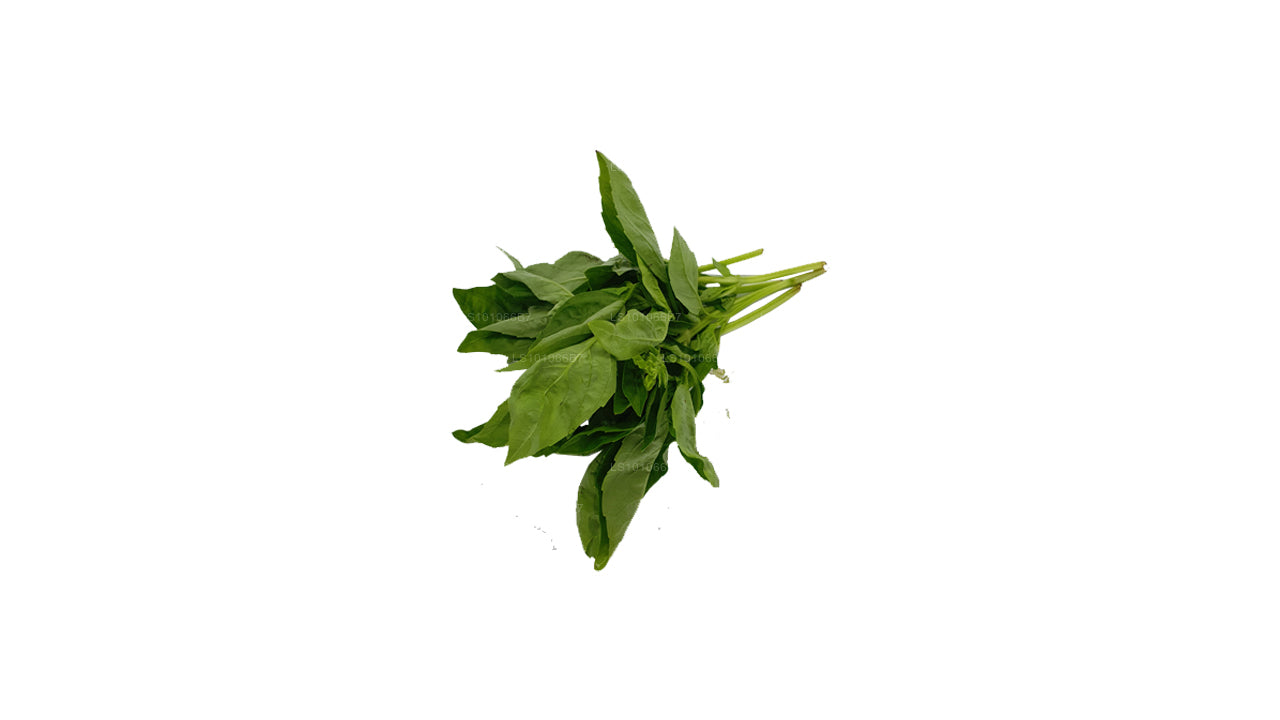 Lakpura Fresh Basil Leaves